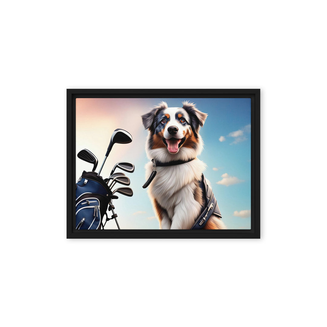 Australian Shepherd Golfer- Framed canvas