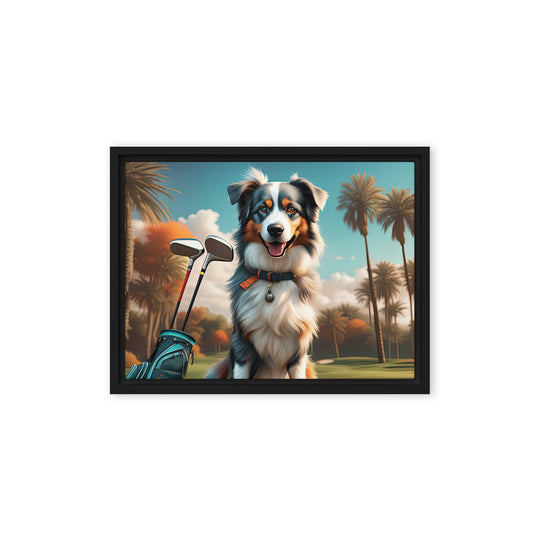 Australian Shepherd Golfer- Framed canvas v2