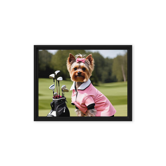 Yorkshire Terrier Golfer- Framed canvas v2