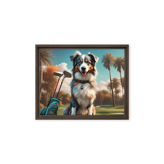 Australian Shepherd Golfer- Framed canvas v2