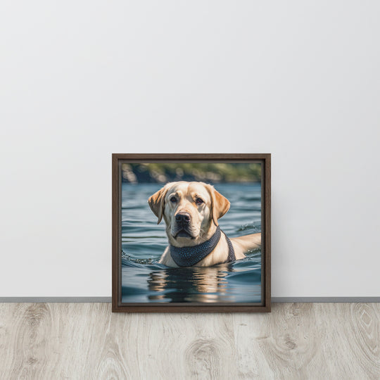 Framed canvas-Labrador Retriever V3