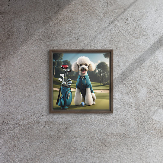 Poodle Golfer- Framed canvas