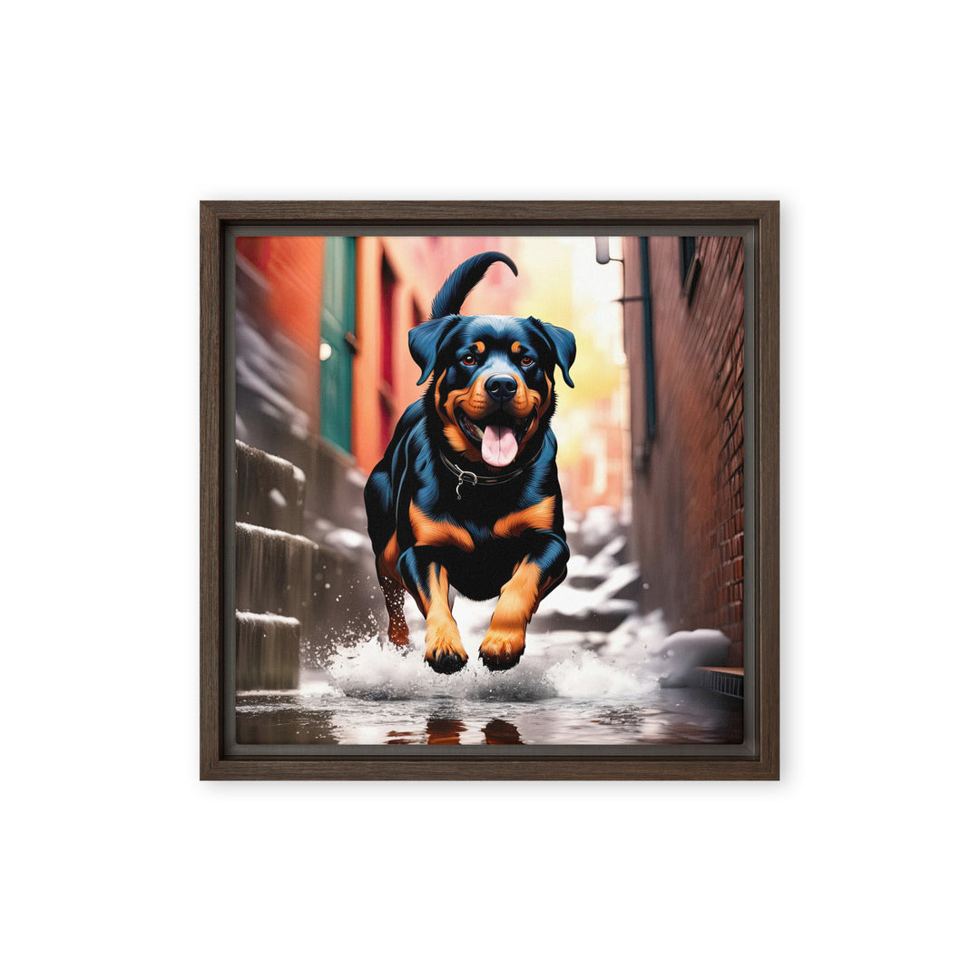 Rottweiler- Framed canvas v2