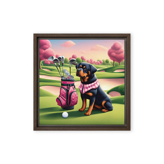 Rottweiler Golfer- Framed canvas