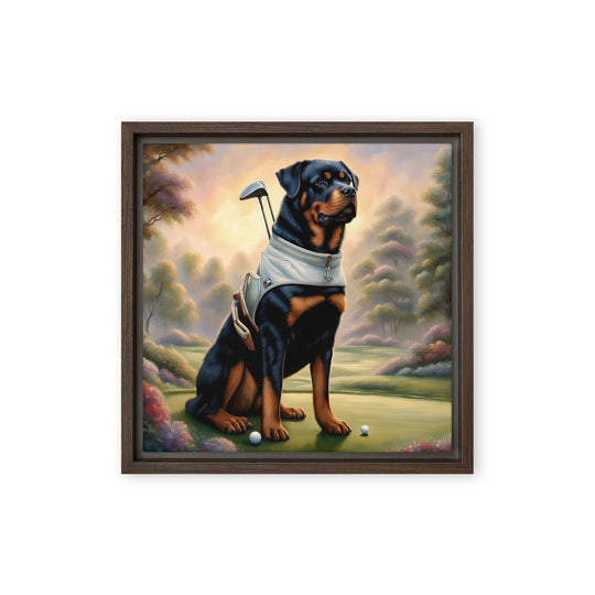 Rottweiler Golfer- Framed canvas v2