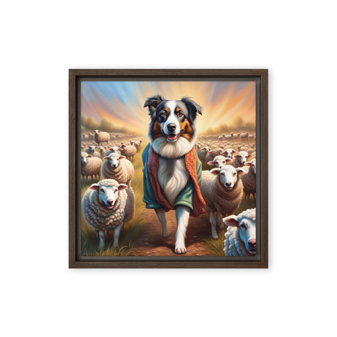 Australian Shepherd- Framed canvas