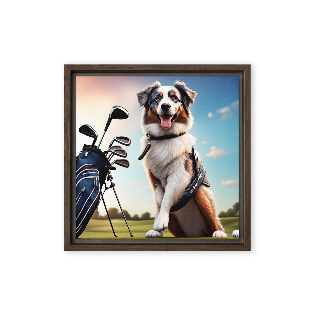 Australian Shepherd Golfer- Framed canvas