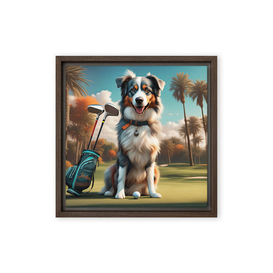 Australian Shepherd Golfer- Framed canvas v2