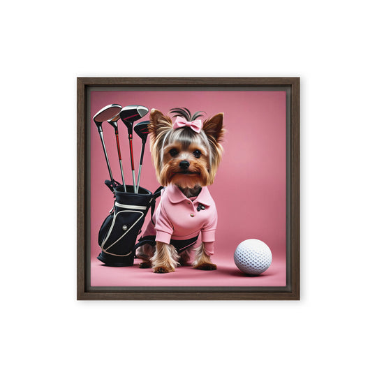 Yorkshire Terrier Golfer- Framed canvas