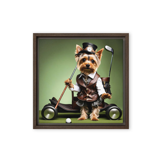 Yorkshire Terrier Golfer- Framed canvas v4