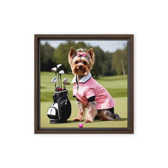 Yorkshire Terrier Golfer- Framed canvas v2