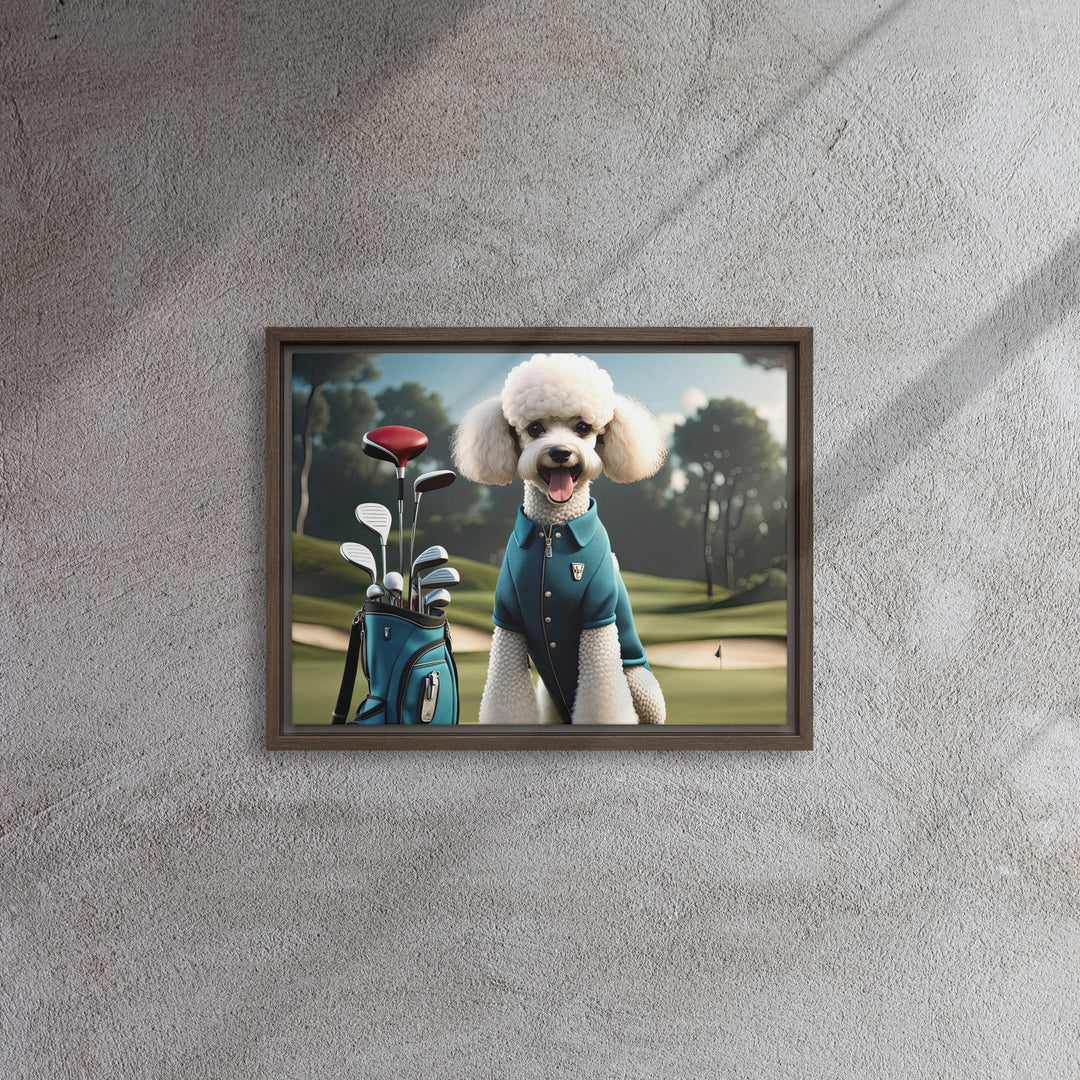 Poodle Golfer- Framed canvas
