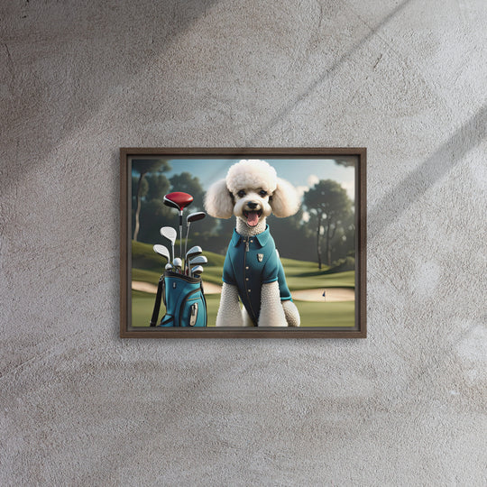 Poodle Golfer- Framed canvas