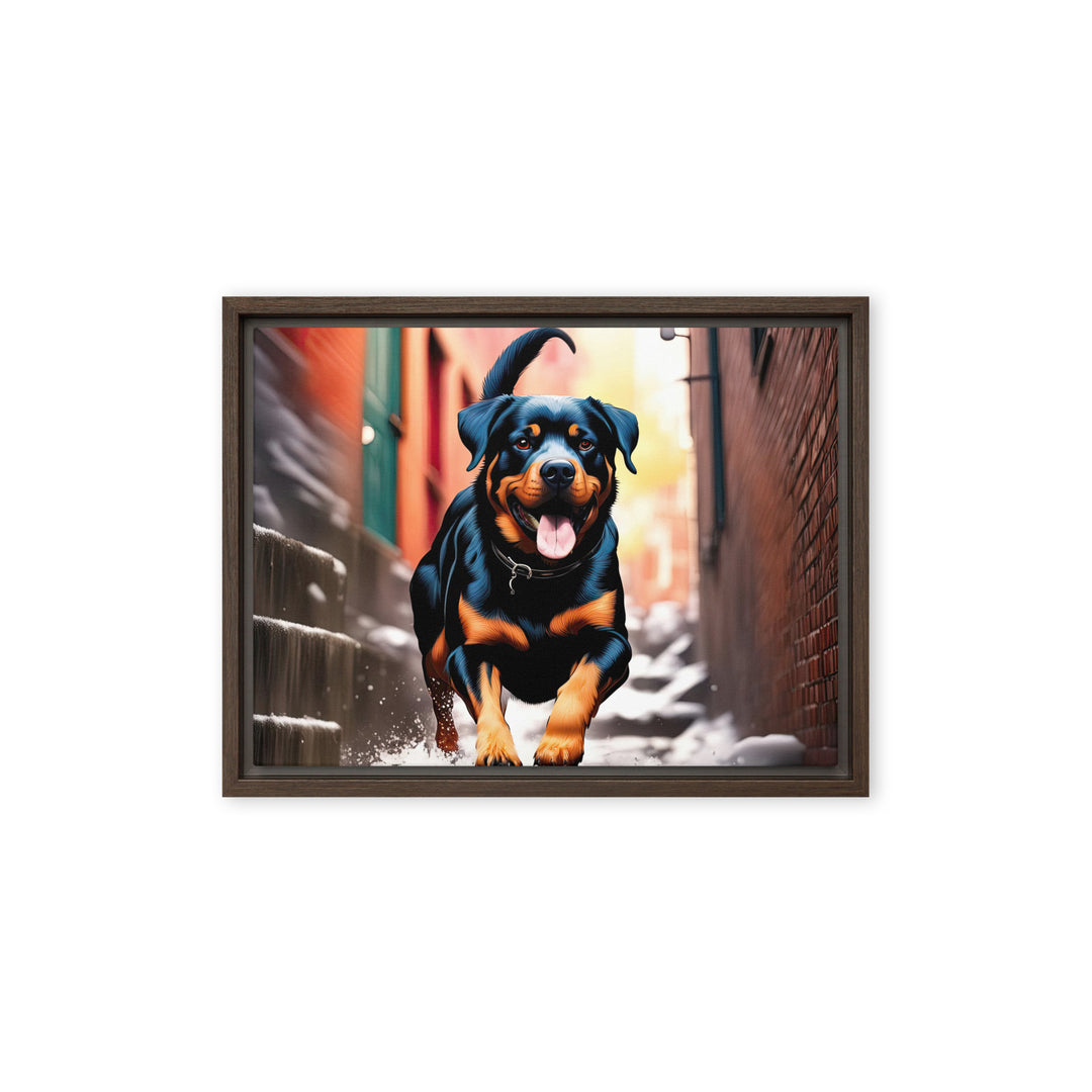 Rottweiler- Framed canvas v2