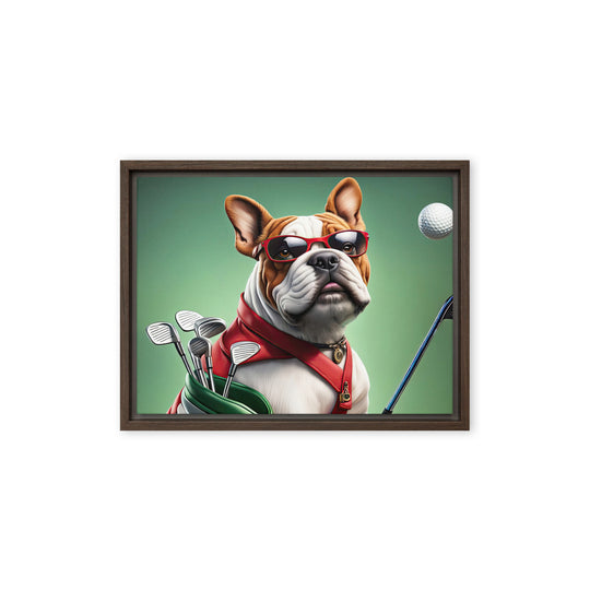 Bulldog Golfer- Framed canvas