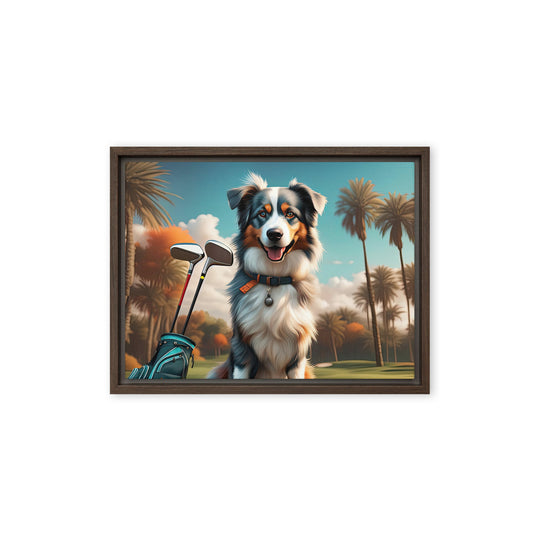 Australian Shepherd Golfer- Framed canvas v2