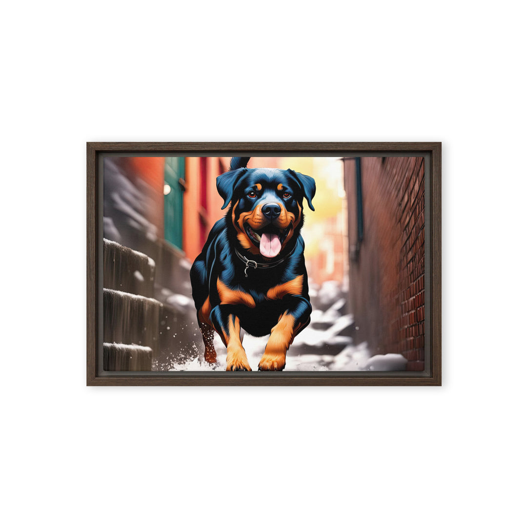 Rottweiler- Framed canvas v2