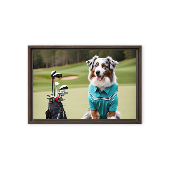 Australian Shepherd Golfer- Framed canvas v4