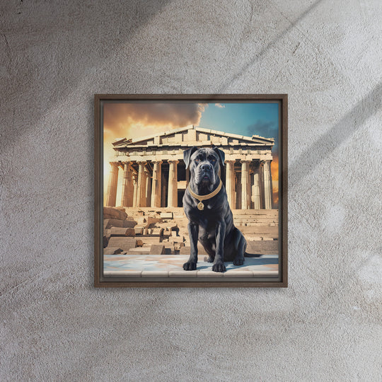 Framed canvas-Cane Corso