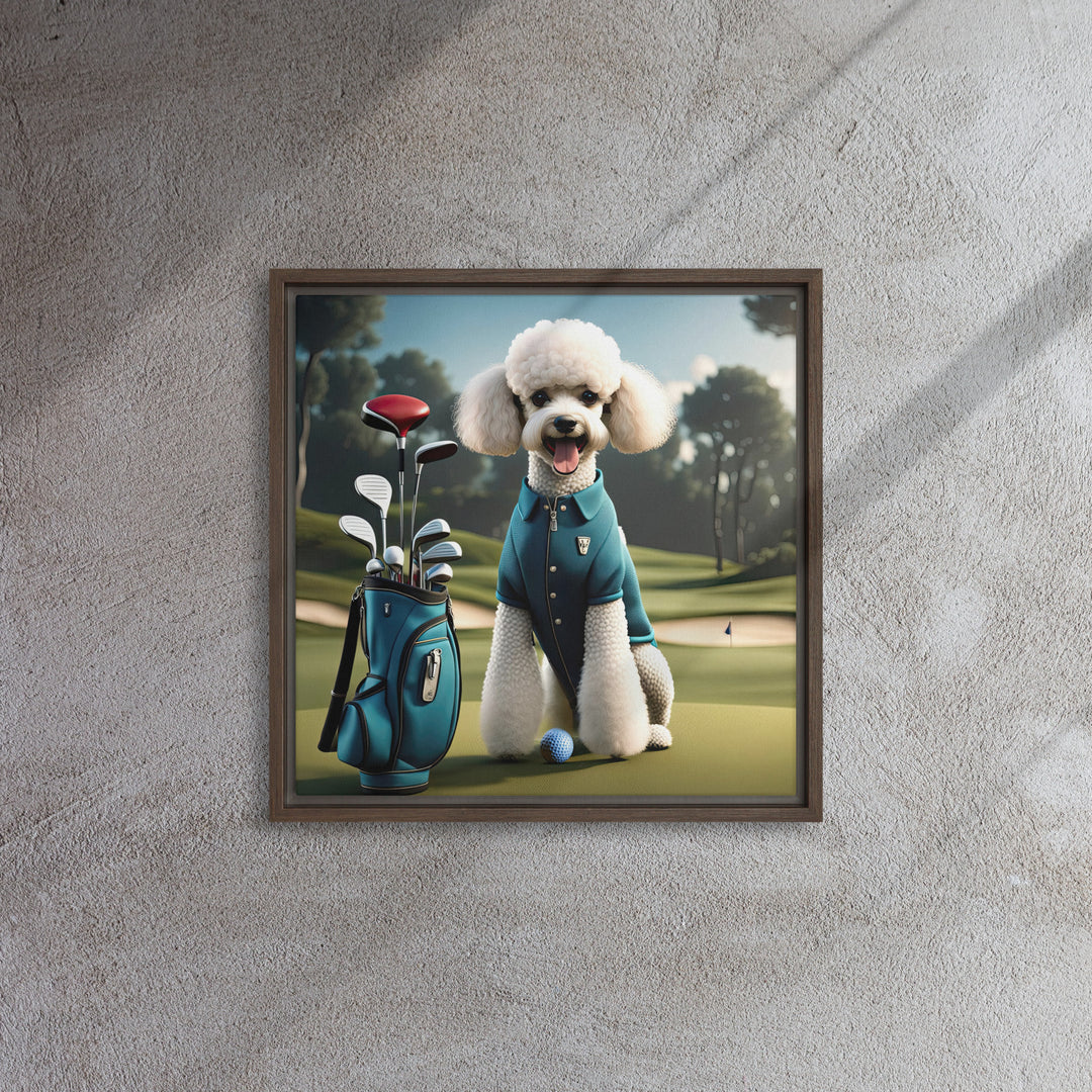 Poodle Golfer- Framed canvas