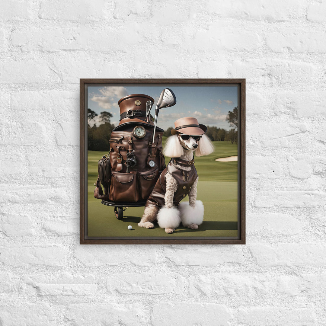 Poodle Golfer- Framed canvas v3