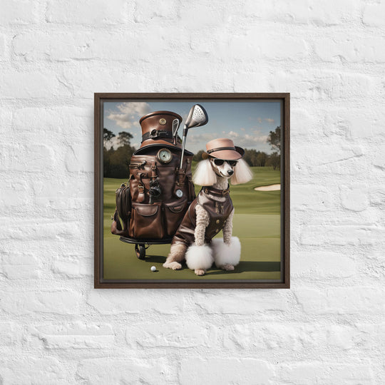 Poodle Golfer- Framed canvas v3