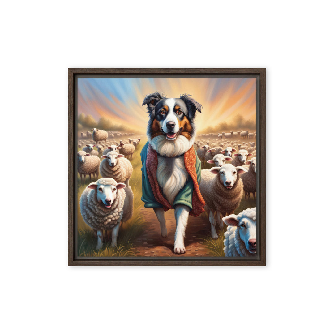 Australian Shepherd- Framed canvas