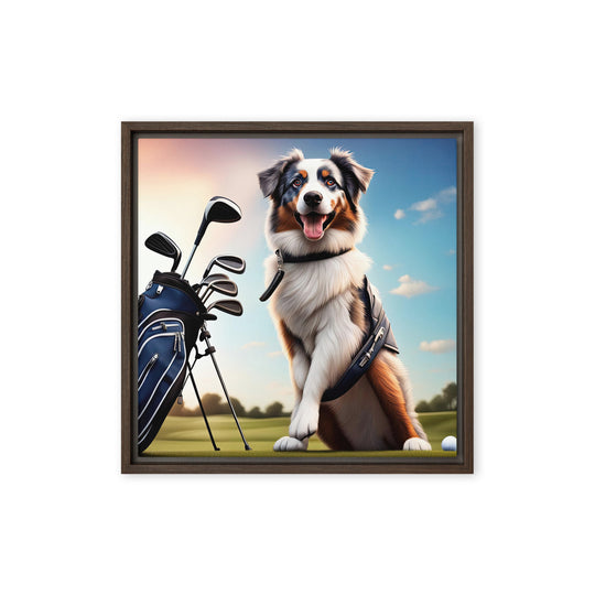 Australian Shepherd Golfer- Framed canvas