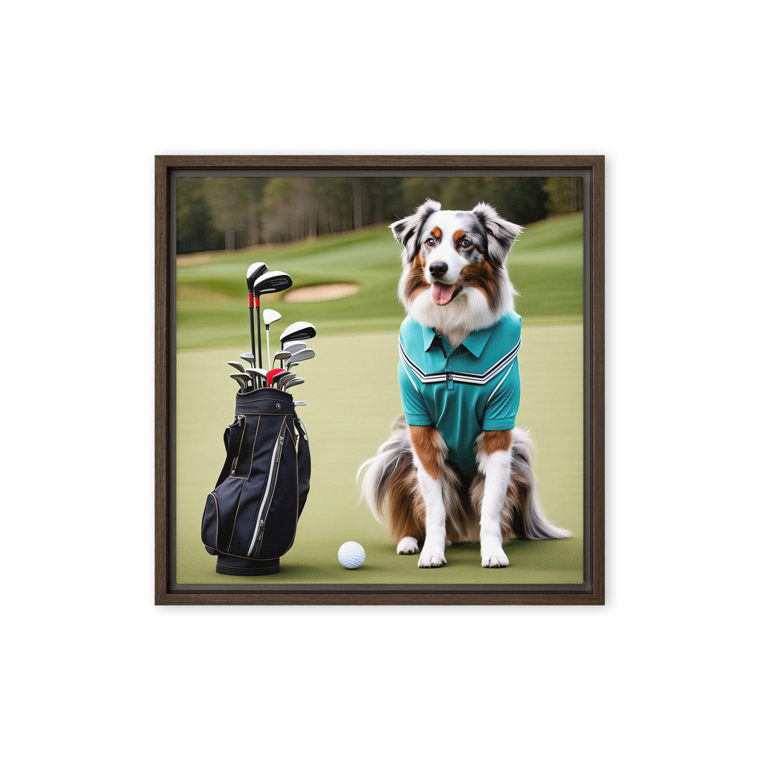 Australian Shepherd Golfer- Framed canvas v4