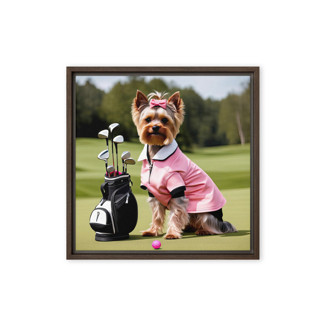 Yorkshire Terrier Golfer- Framed canvas v2