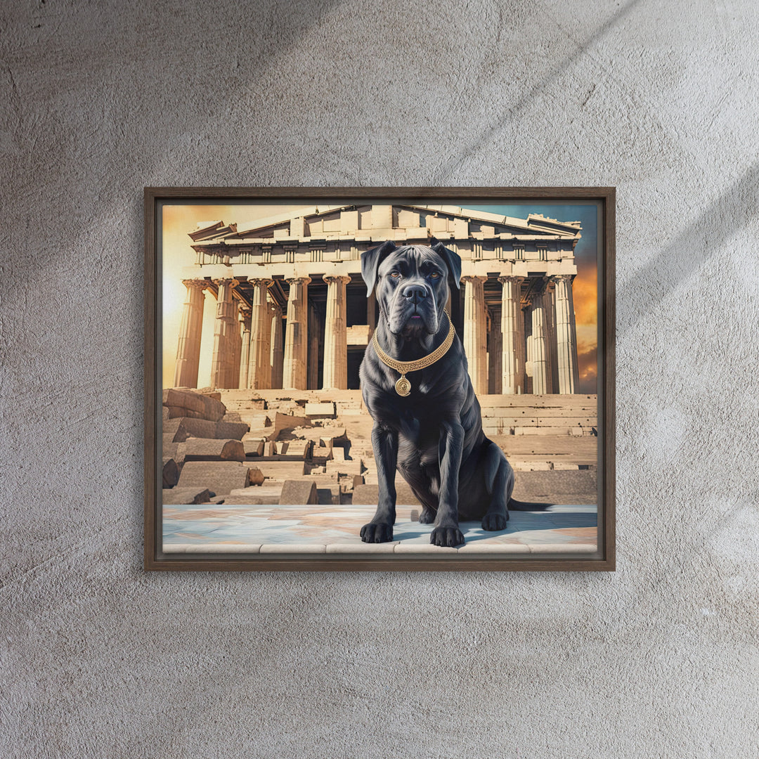 Framed canvas-Cane Corso