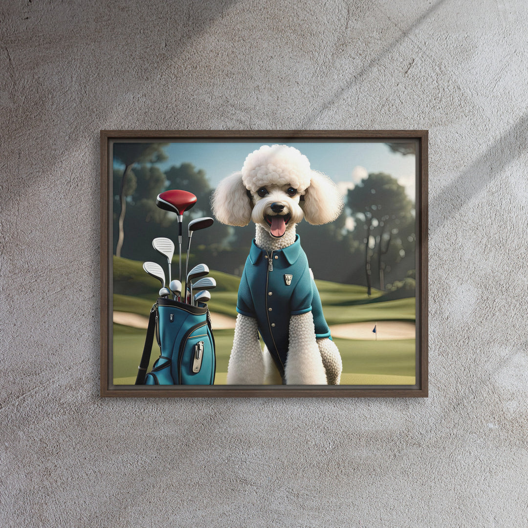 Poodle Golfer- Framed canvas