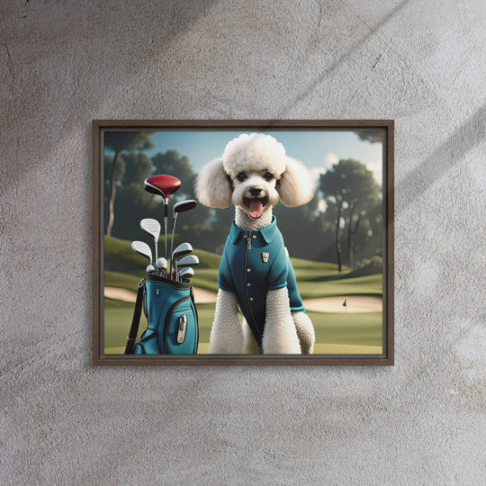 Poodle Golfer- Framed canvas