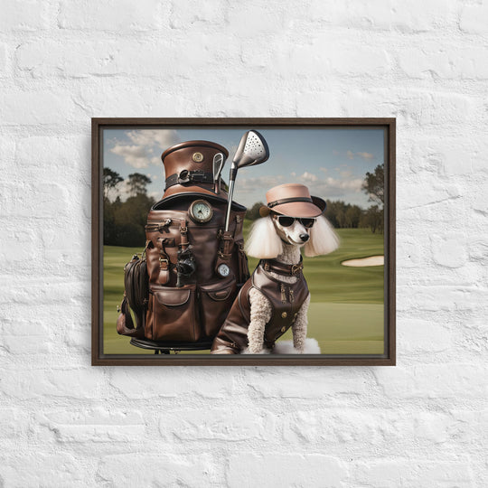 Poodle Golfer- Framed canvas v3
