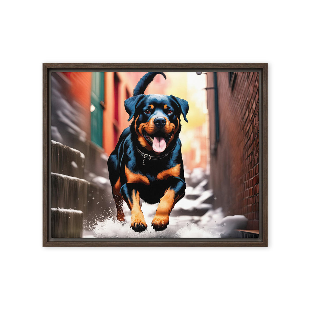 Rottweiler- Framed canvas v2