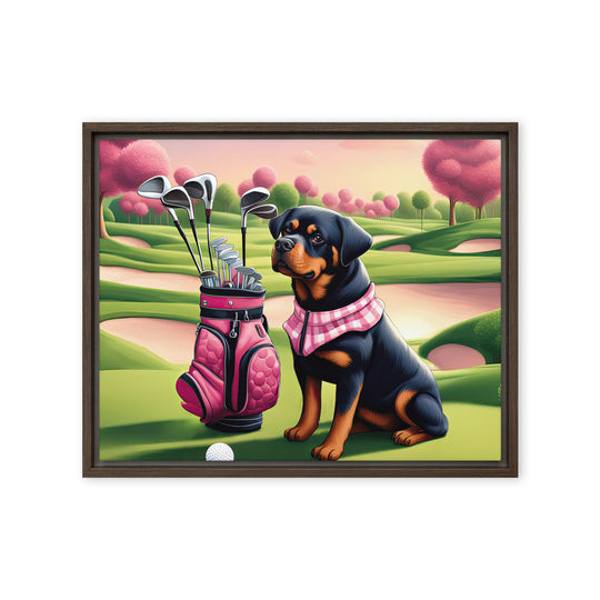 Rottweiler Golfer- Framed canvas