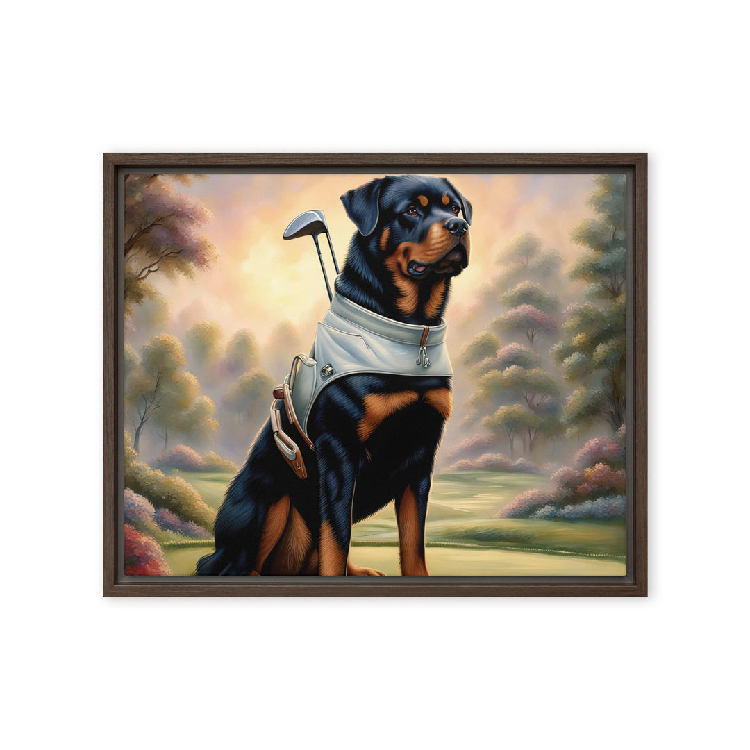 Rottweiler Golfer- Framed canvas v2