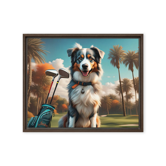 Australian Shepherd Golfer- Framed canvas v2