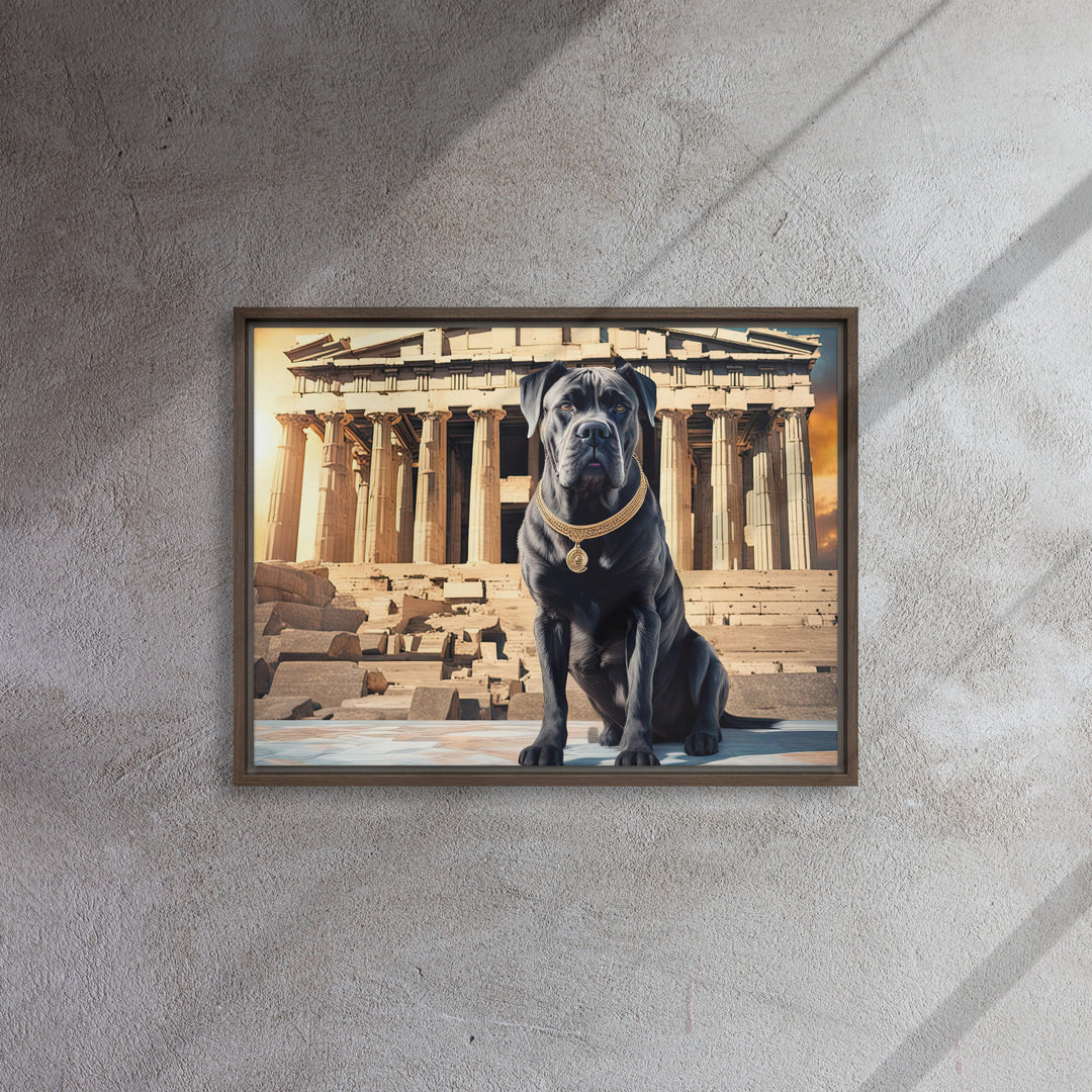 Framed canvas-Cane Corso