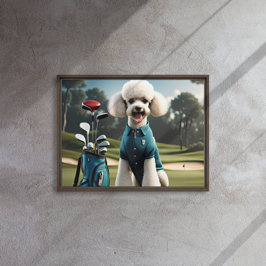 Poodle Golfer- Framed canvas