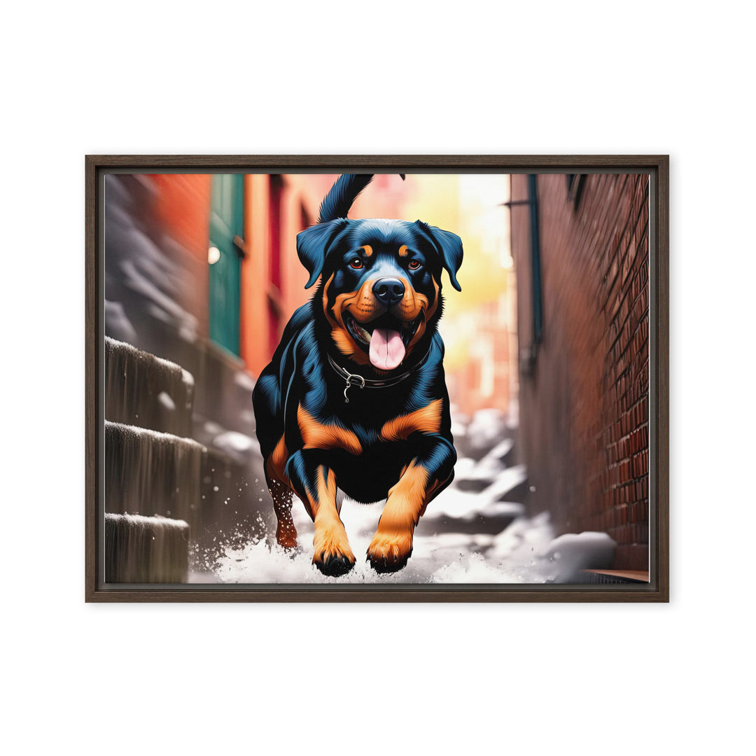 Rottweiler- Framed canvas v2