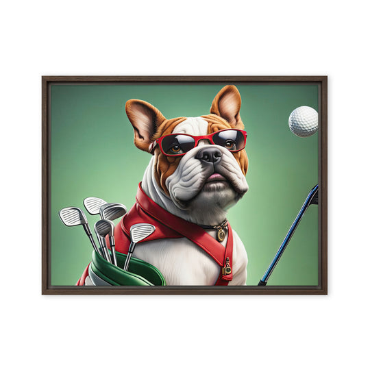 Bulldog Golfer- Framed canvas