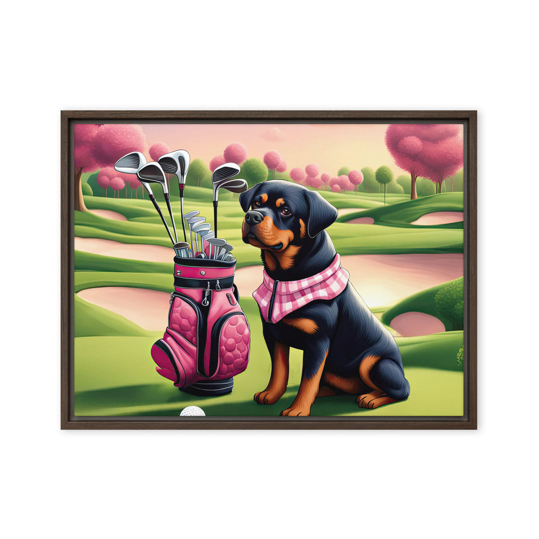 Rottweiler Golfer- Framed canvas