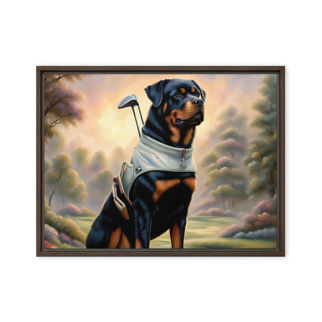 Rottweiler Golfer- Framed canvas v2