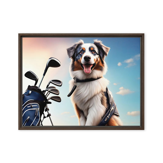 Australian Shepherd Golfer- Framed canvas