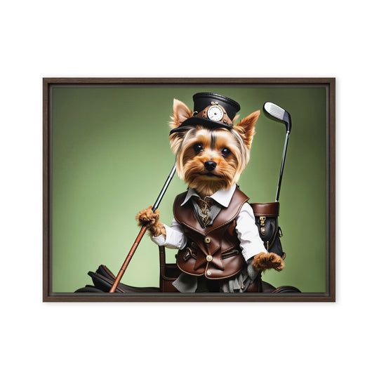 Yorkshire Terrier Golfer- Framed canvas v4