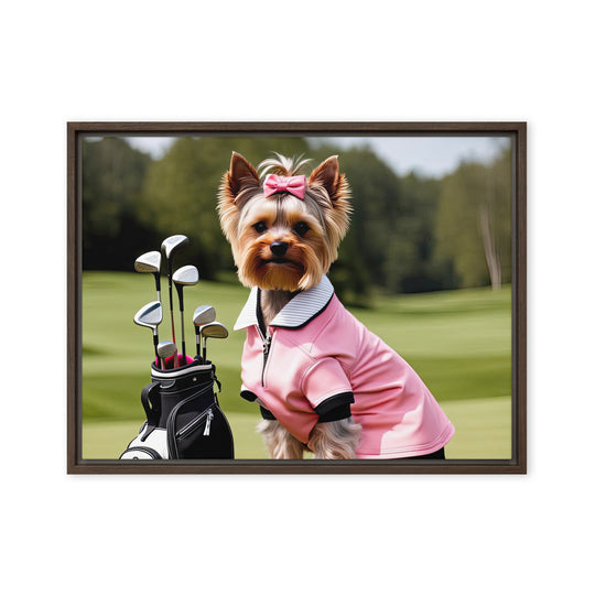 Yorkshire Terrier Golfer- Framed canvas v2