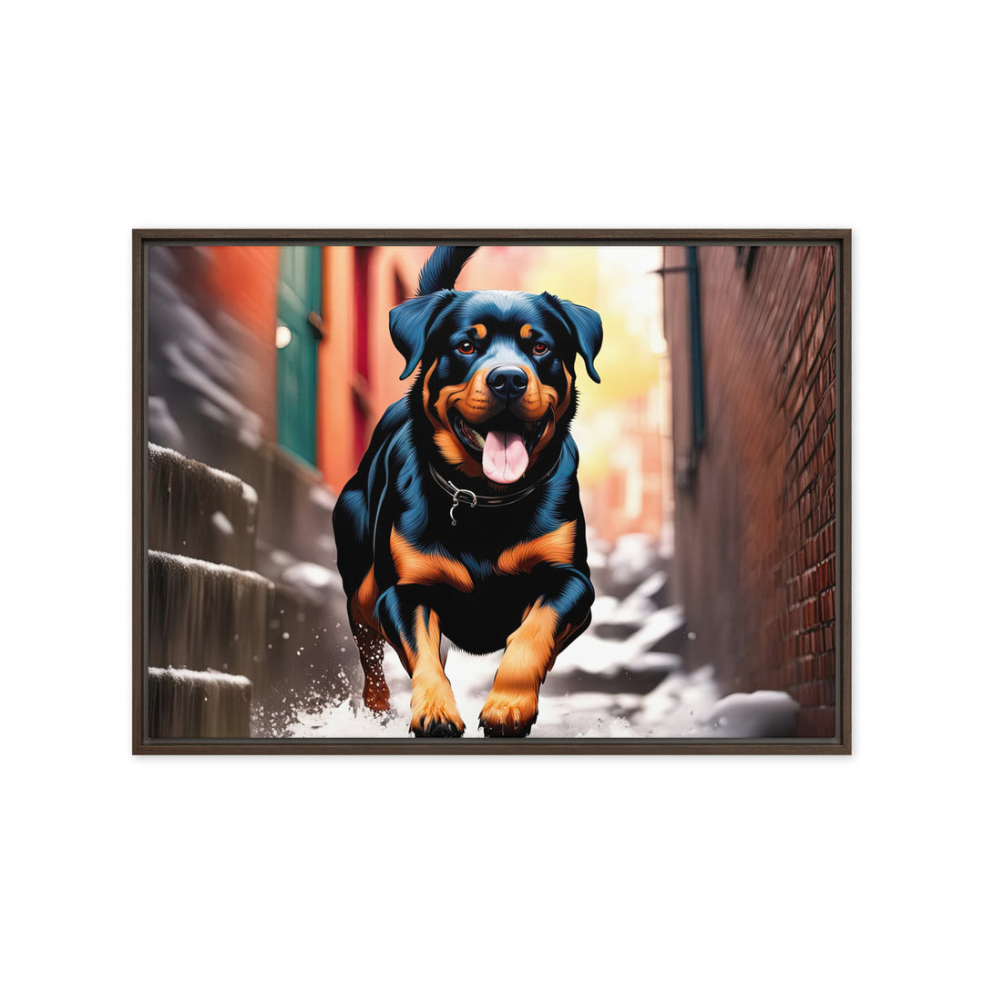 Rottweiler- Framed canvas v2