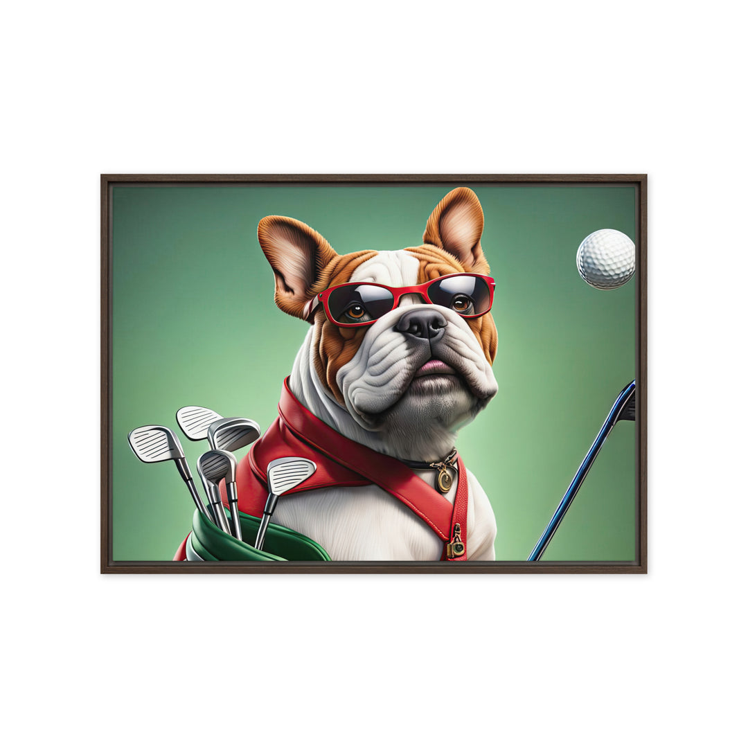 Bulldog Golfer- Framed canvas