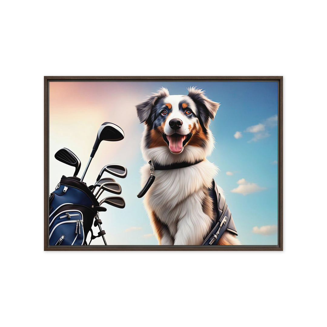 Australian Shepherd Golfer- Framed canvas